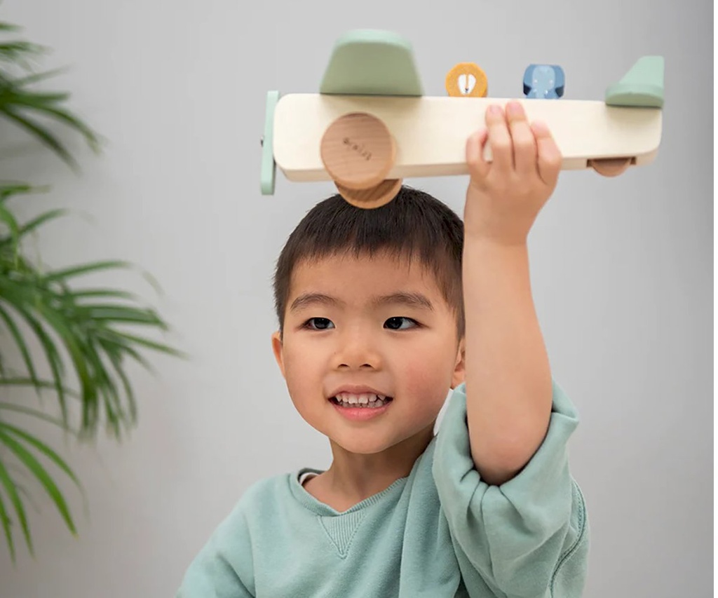 Avión Madera Animales