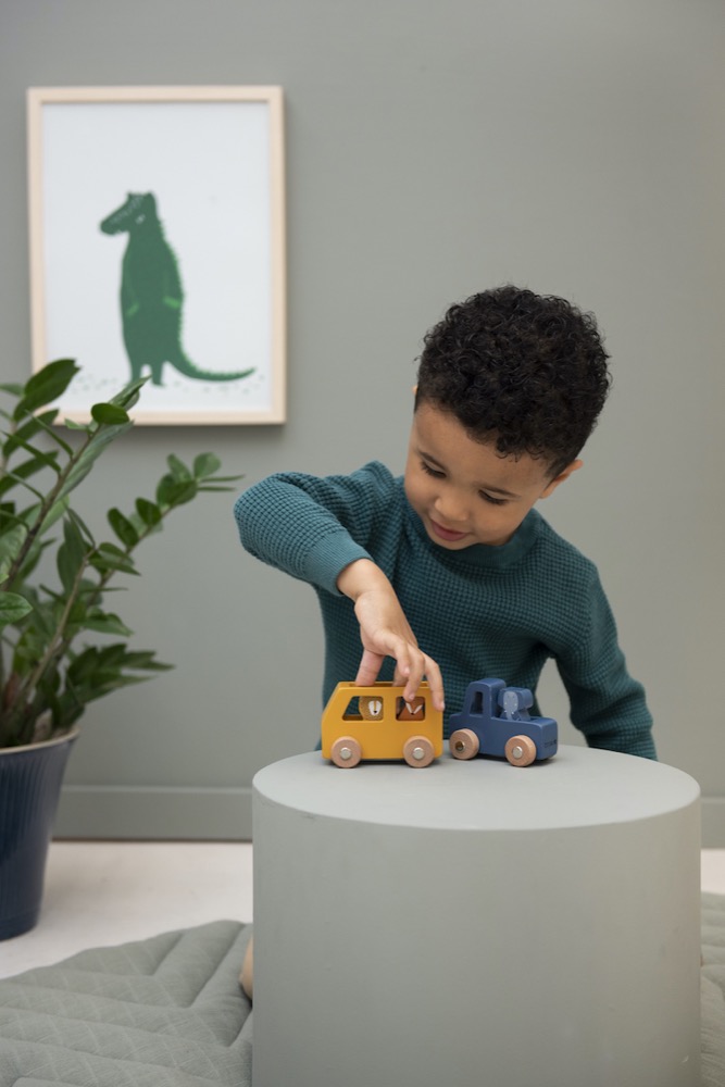 Juego de Coches de Animales