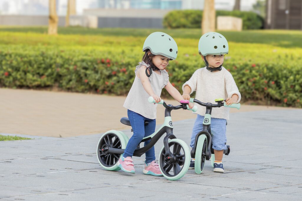 Bicicleta equilibrio Go Bike Elite Duo