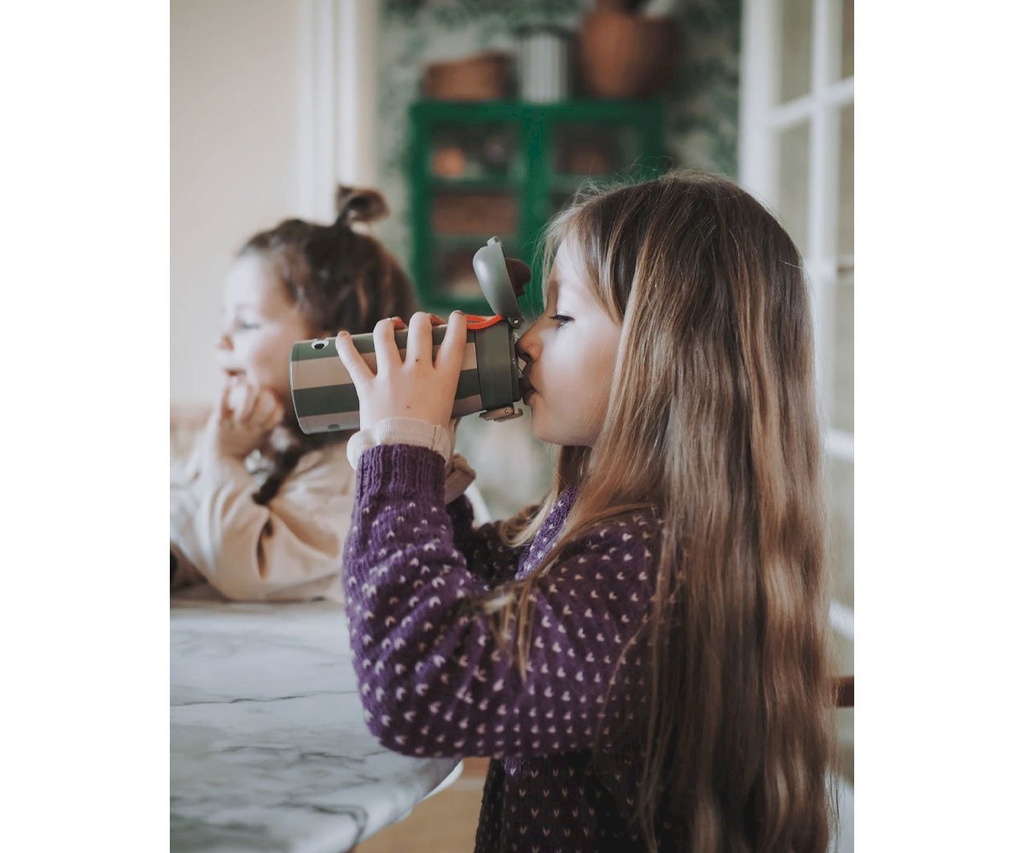 Botella de Acero Térmica Crocodile