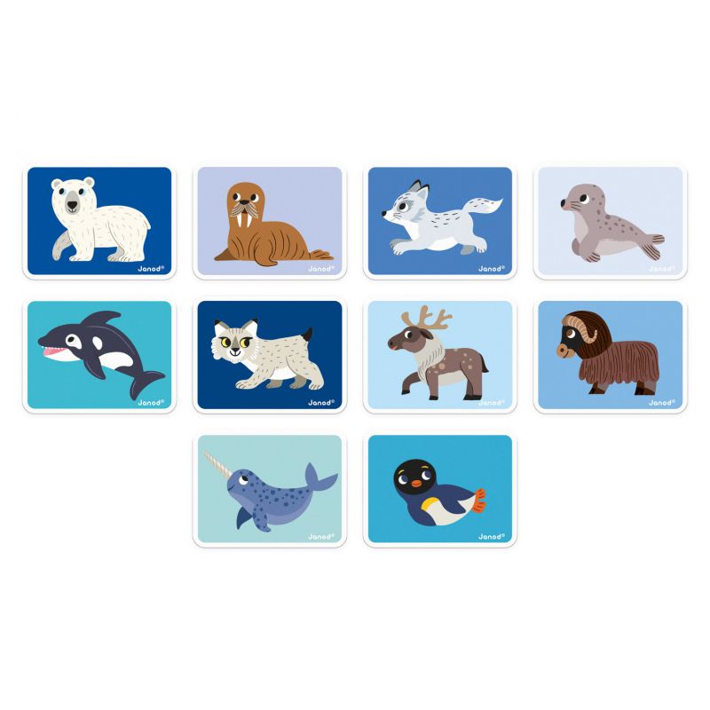 Magneti'book - Animales Polares