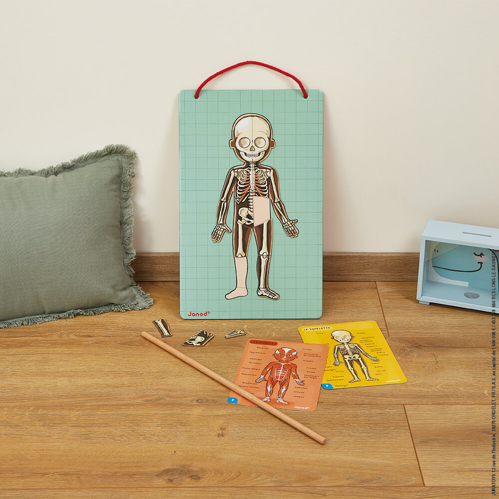 Bodymagnet en 12 idiomas