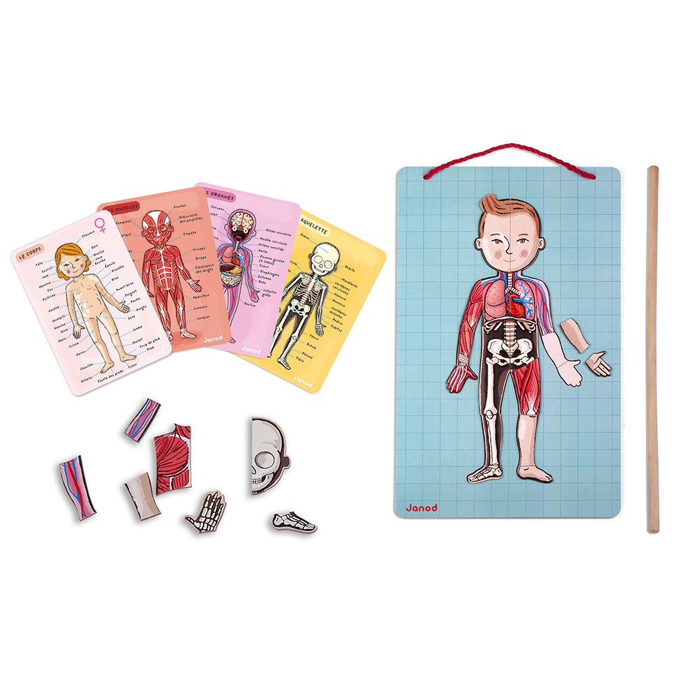 Bodymagnet en 12 idiomas