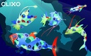 CLIXO Ocean Creatures Pack